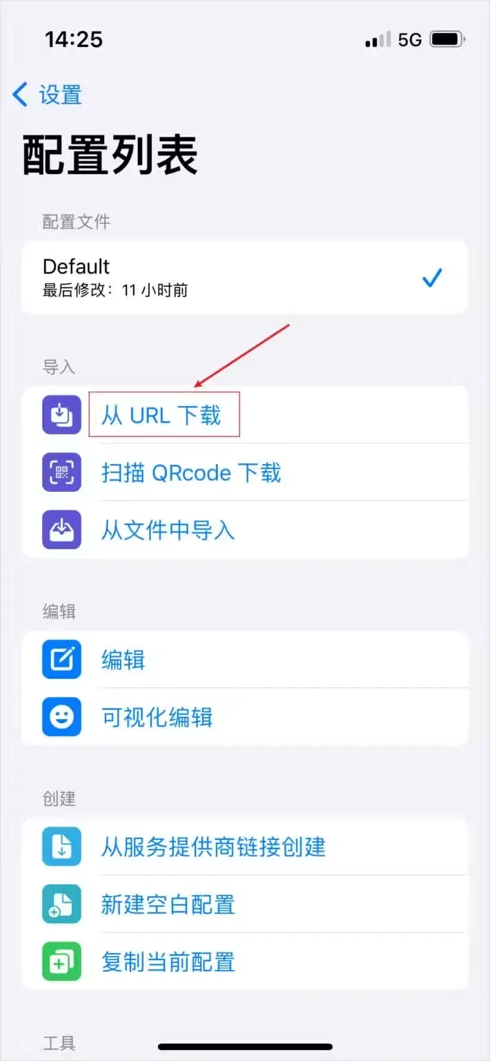Stash 2.5.6 的配置列表,Default 一行右侧打着对勾,导入分组第一行“从 URL 下载”被红框和箭头标出