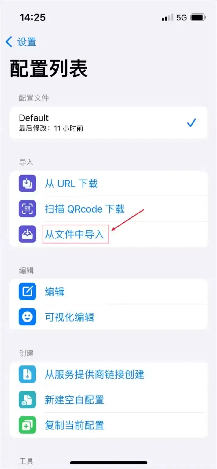 配置列表中导入分组的最后一行“从文件中导入”被红框圈出,顶部的 Default 配置仍勾选着